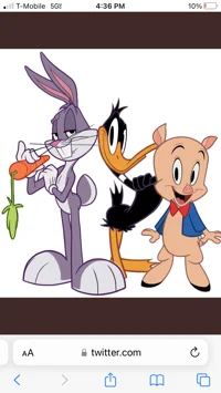 The Looney Trio
