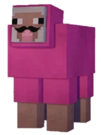 Pink Sheep
