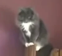 Some guy yells at ca