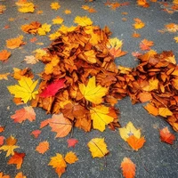 Pile of Leaves