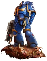 Space marine