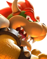 Bowser
