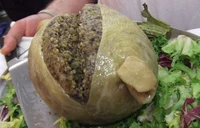 Haggis eating 