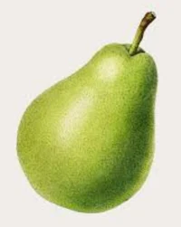 Pear