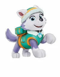 Everest paw 