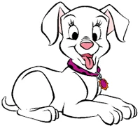 Oddball Dalmatian