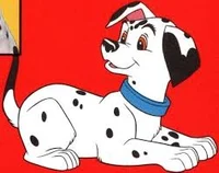 Dipstick Dalmatian