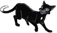 Ravenpaw