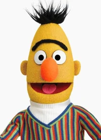 Bert