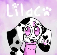 NOT Lilac Dalmatian