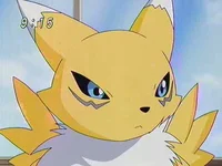 Renamon