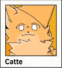 Catte