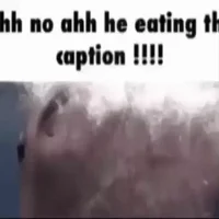 Fish eating caption