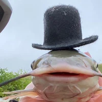 British fish