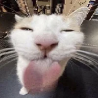 Oscar