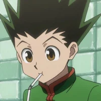 Gon Freecss