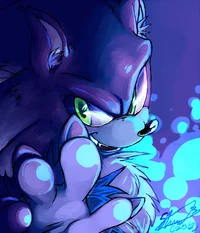 Sonic the Werehog