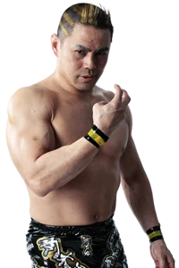 Taka Michinoku