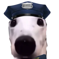 Furry detector 4