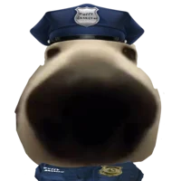 Furry detector 2