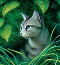 Ivypool