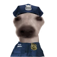 Furry detector 3