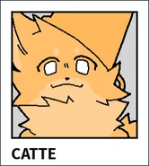 Catte