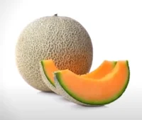 cantaloupe