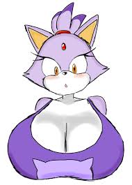 blaze the cat