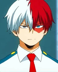 Shoto Todoroki