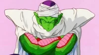 Piccolo
