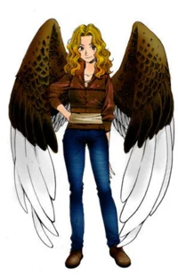 Maximum Ride