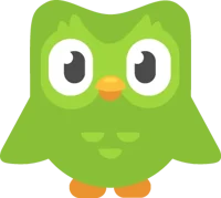 Duo The Duolingo Owl