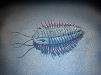 Trilobite