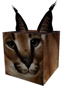 Floppa Cube