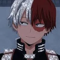 Shoto todoroki