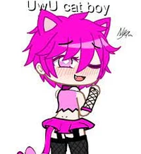 Pink uwu Cat