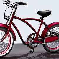Teenager bike