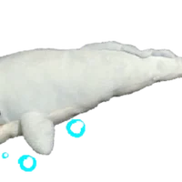 Big whale