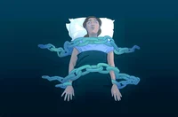 Sleep paralysisCZSim
