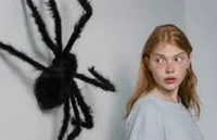 Arachnophobia guy