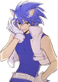 Sonic the human