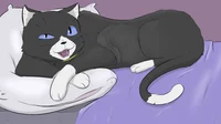 Cat form Morgana