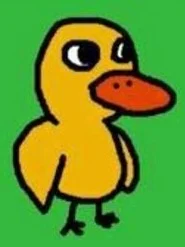 Duck Song Duck