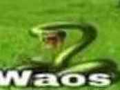 Waos