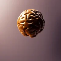 Brain