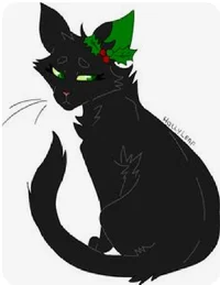 Hollyleaf