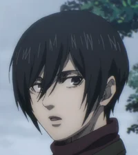 Mikasa Ackerman 