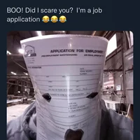 Job Application 