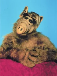 ALF